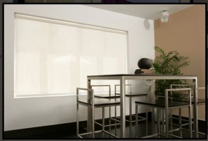 ROLLER SHADES