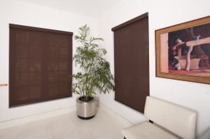 ROLLER SHADES