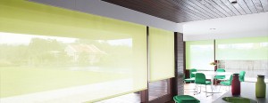 ROLLER SHADES